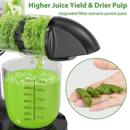 Aeitto Reverse Function Cold Press Juicer, Black